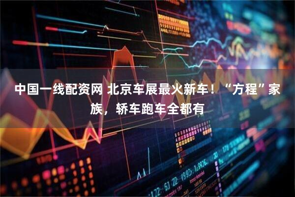 中国一线配资网 北京车展最火新车！“方程”家族，轿车跑车全都有